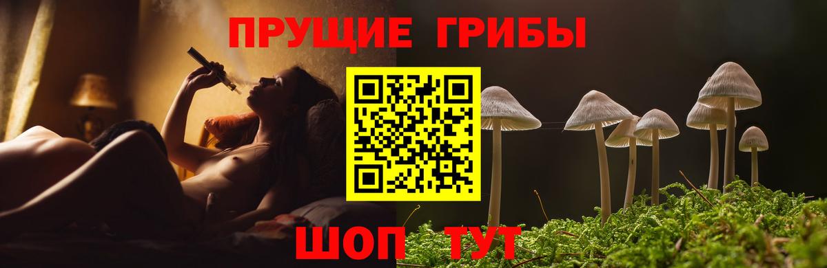 Галлюциногенные грибы Cubensis  Вход с VPN  Гусиноозёрск 